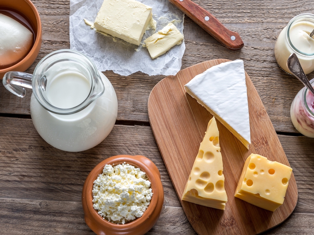 Milk and a selection of dairy products